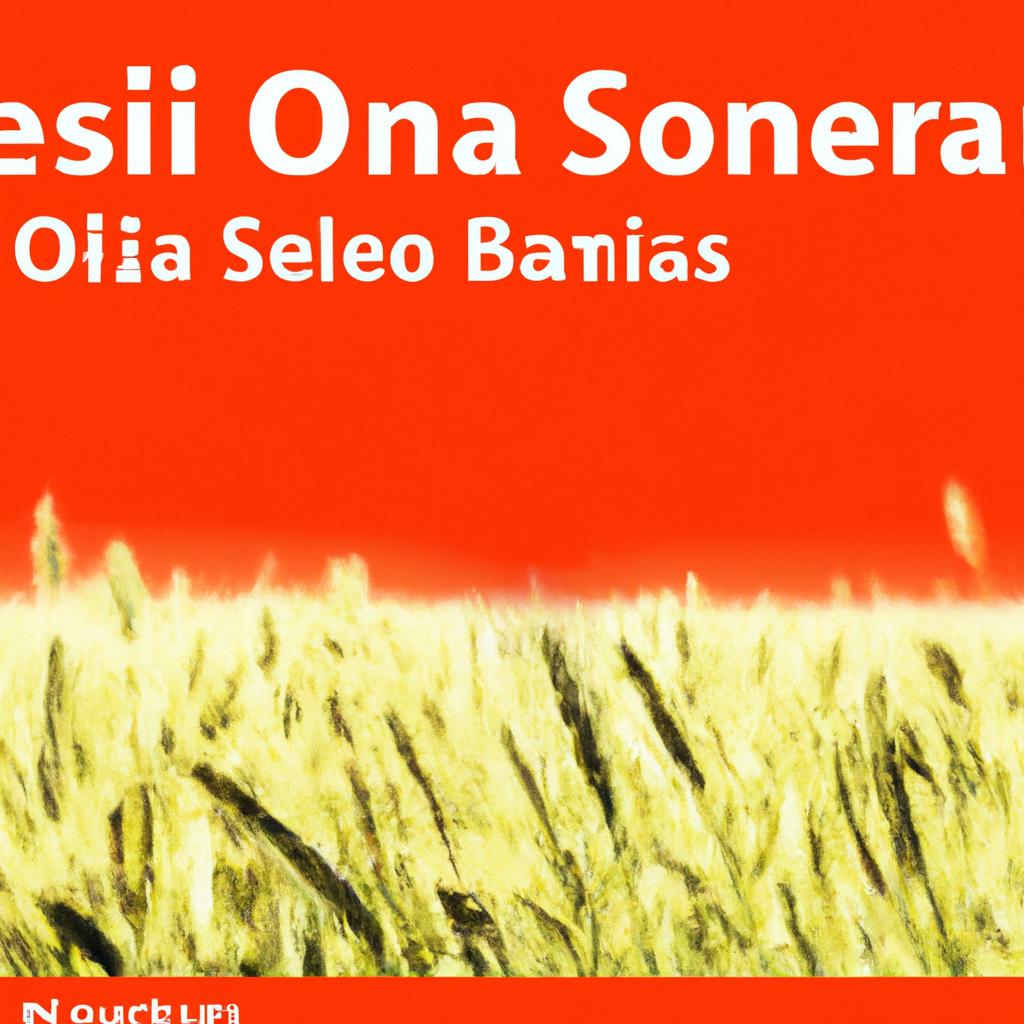 Benefícios agronômicos da aveia para a saúde do solo